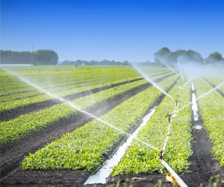 Сельскохозяйственная противопожарная защита